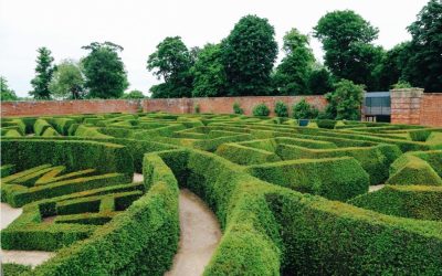 Navigating the Maze: Avoiding Cost Management Confusion to Deliver a Quality Project